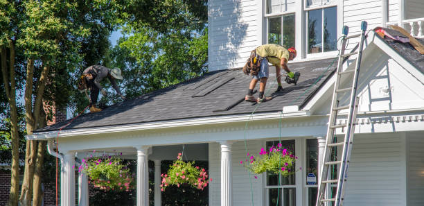 Steel Roofing in Freeburg, IL
